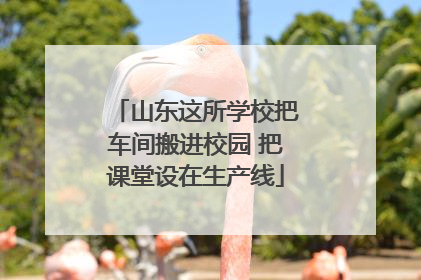 山东这所学校把车间搬进校园 把课堂设在生产线