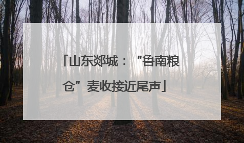 山东郯城：“鲁南粮仓”麦收接近尾声