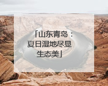山东青岛：夏日湿地尽显生态美