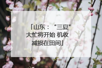 山东：“三夏”大忙将开始 机收减损在田间