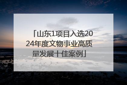 山东1项目入选2024年度文物事业高质量发展十佳案例