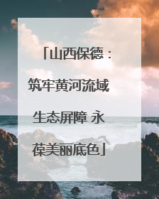 山西保德：筑牢黄河流域生态屏障 永葆美丽底色