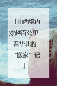 山西境内穿越百公里 看华北豹“搬家”记