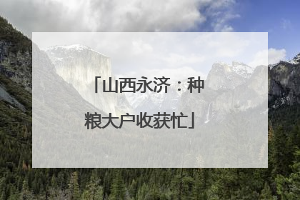 山西永济：种粮大户收获忙