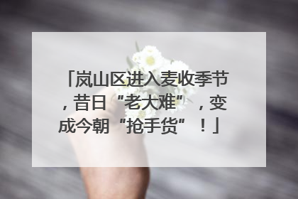 岚山区进入麦收季节，昔日“老大难”，变成今朝“抢手货”！