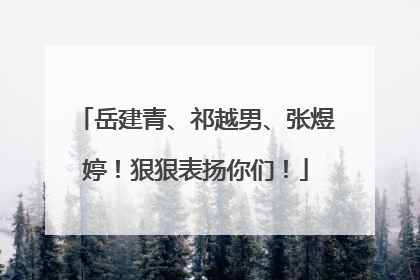 岳建青、祁越男、张煜婷！狠狠表扬你们！