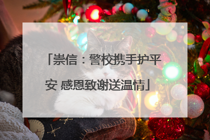 崇信：警校携手护平安 感恩致谢送温情