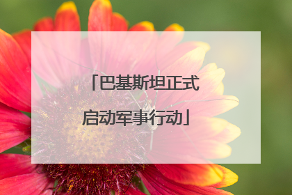 巴基斯坦正式启动军事行动