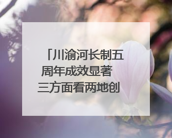 川渝河长制五周年成效显著 三方面看两地创新实践｜新闻发布最前线