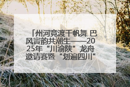 州河竞渡千帆舞 巴风賨韵共潮生——2025年“川渝陕”龙舟邀请赛暨“划遍四川”达川站圆满收官