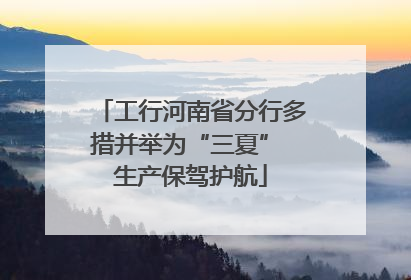 工行河南省分行多措并举为“三夏” 生产保驾护航