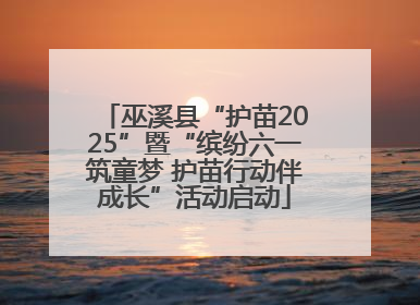 巫溪县“护苗2025”暨“缤纷六一筑童梦 护苗行动伴成长”活动启动