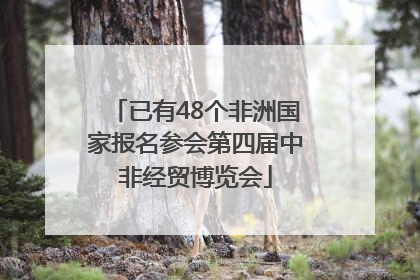 已有48个非洲国家报名参会第四届中非经贸博览会