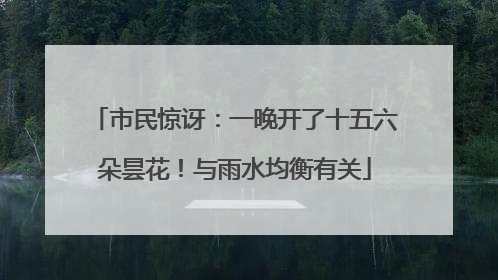 市民惊讶：一晚开了十五六朵昙花！与雨水均衡有关