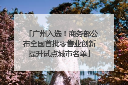 广州入选！商务部公布全国首批零售业创新提升试点城市名单