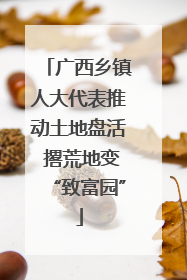 广西乡镇人大代表推动土地盘活 撂荒地变“致富园”
