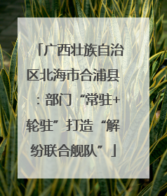 广西壮族自治区北海市合浦县：部门“常驻+轮驻”打造“解纷联合舰队”