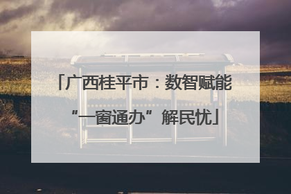 广西桂平市：数智赋能“一窗通办”解民忧