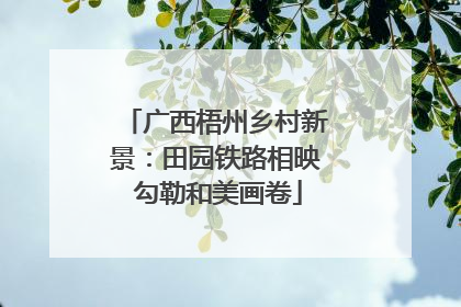 广西梧州乡村新景：田园铁路相映 勾勒和美画卷