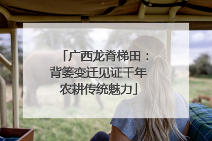 广西龙脊梯田：背篓变迁见证千年农耕传统魅力