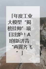 年度工业大模型“揭榜挂帅”项目出炉！AI创新济青“两翼齐飞”