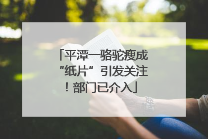 平潭一骆驼瘦成“纸片”引发关注！部门已介入