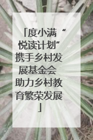 度小满“悦读计划”携手乡村发展基金会 助力乡村教育繁荣发展