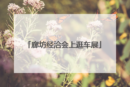 廊坊经洽会上逛车展