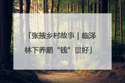 张掖乡村故事｜临泽林下养鹅“钱”景好