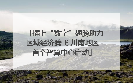 插上“数字”翅膀助力区域经济腾飞 川南地区首个智算中心启动