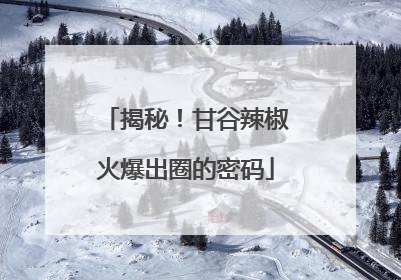 揭秘！甘谷辣椒火爆出圈的密码