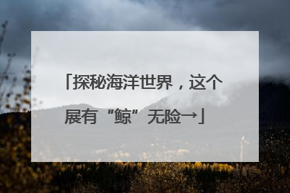 探秘海洋世界，这个展有“鲸”无险→