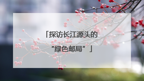 探访长江源头的“绿色邮局”