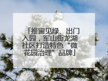 推窗见绿、出门入园，军山街龙湖社区打造特色“微花园治理”品牌