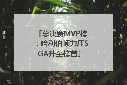 总决赛MVP榜：哈利伯顿力压SGA升至榜首
