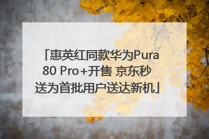 惠英红同款华为Pura 80 Pro+开售 京东秒送为首批用户送达新机