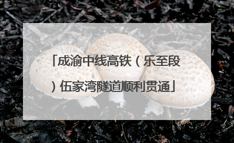 成渝中线高铁（乐至段）伍家湾隧道顺利贯通