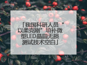 我国科研人员“以柔克刚”填补微型LED晶圆无损测试技术空白