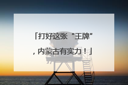 打好这张“王牌”，内蒙古有实力！