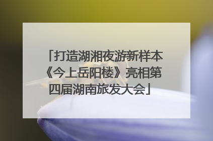 打造湖湘夜游新样本《今上岳阳楼》亮相第四届湖南旅发大会