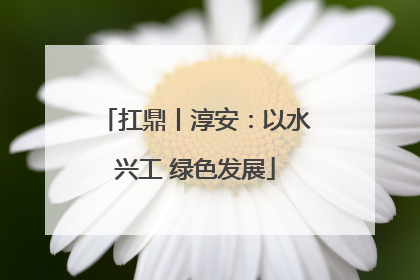 扛鼎丨淳安：以水兴工 绿色发展