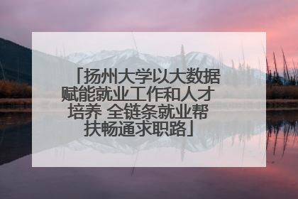 扬州大学以大数据赋能就业工作和人才培养 全链条就业帮扶畅通求职路