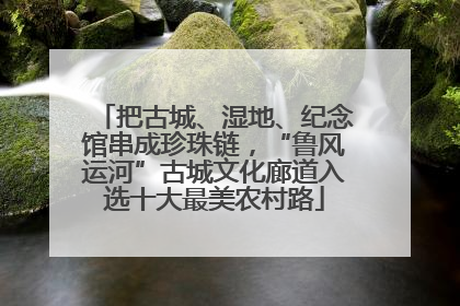 把古城、湿地、纪念馆串成珍珠链，“鲁风运河”古城文化廊道入选十大最美农村路
