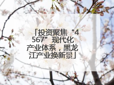 投资聚焦“4567”现代化产业体系，黑龙江产业换新景