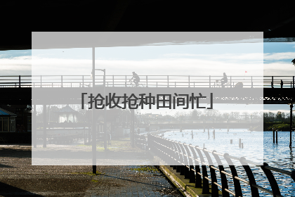 抢收抢种田间忙