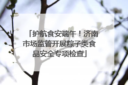 护航食安端午！济南市场监管开展粽子类食品安全专项检查