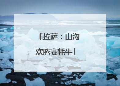 拉萨：山沟欢腾赛牦牛