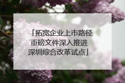 拓宽企业上市路径 重磅文件深入推进深圳综合改革试点