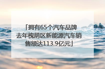 拥有65个汽车品牌 去年槐荫区新能源汽车销售额达113.9亿元