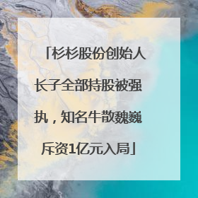 杉杉股份创始人长子全部持股被强执，知名牛散魏巍斥资1亿元入局